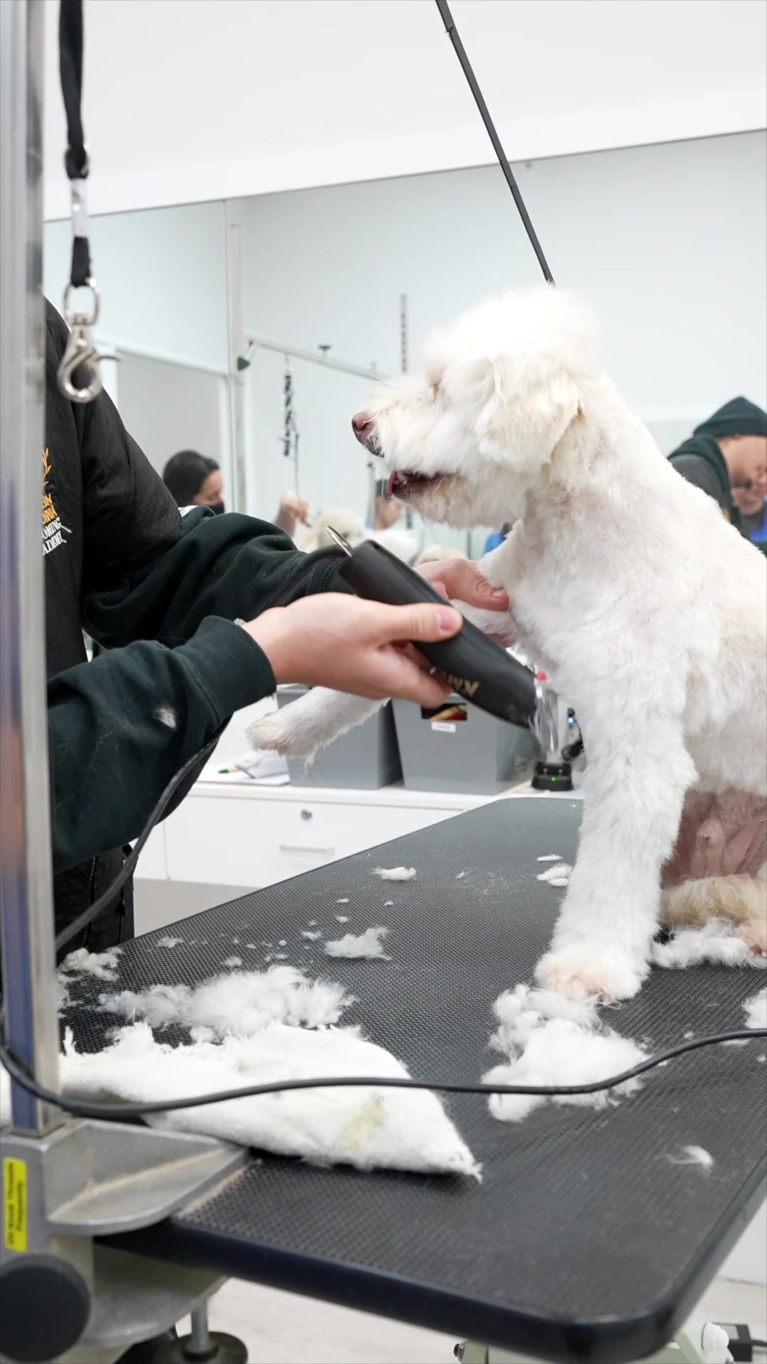 @NorCal Grooming Academy
