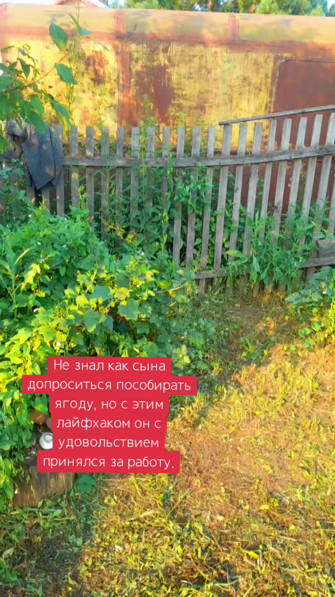@NA_VA_SELY