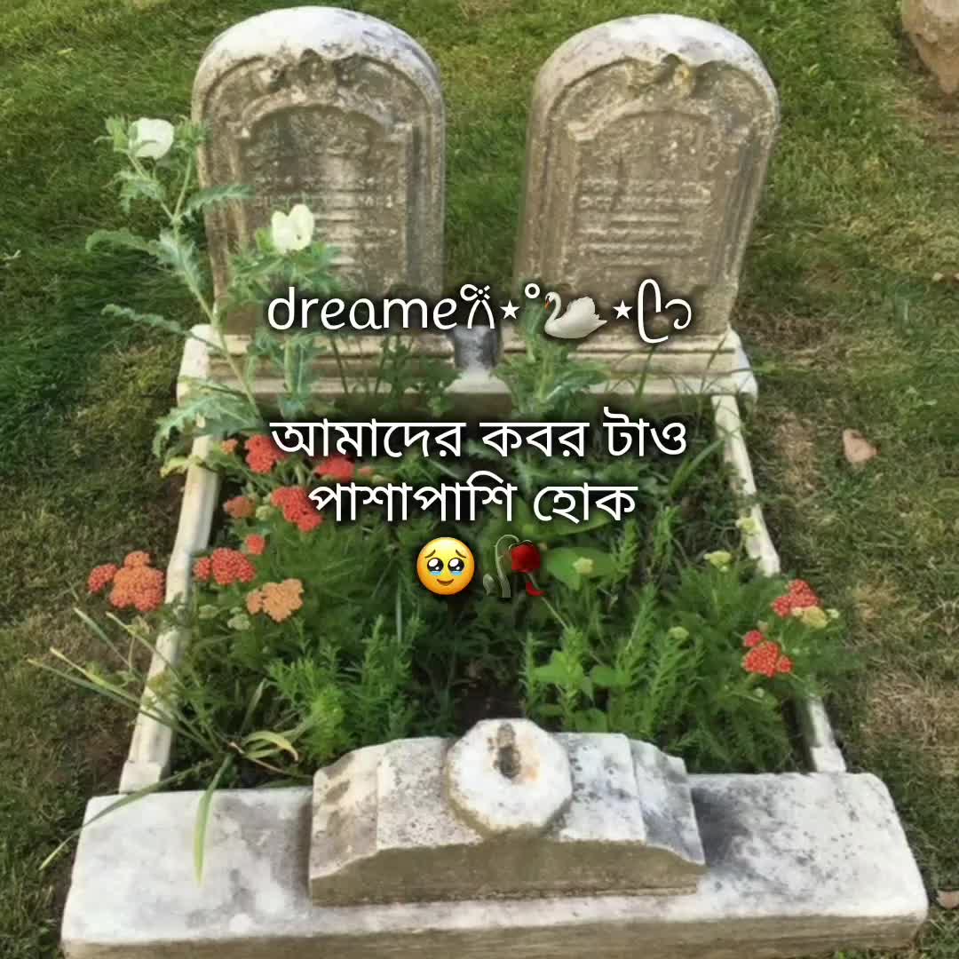 @⏤͟͟͞͞𝗧𝗔𝗡𝗛𝗔/تنها✧
