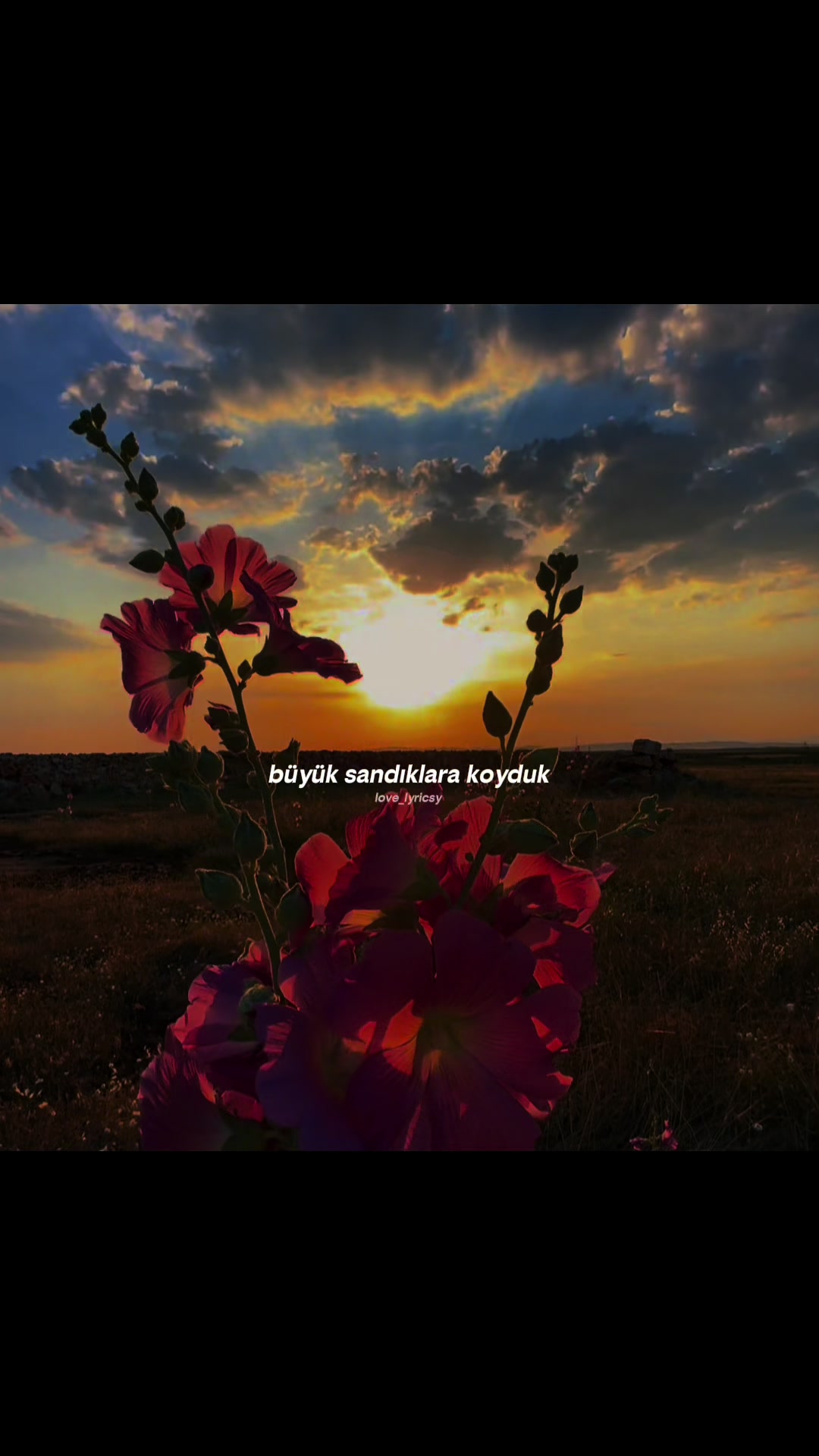 @𝙛𝙖𝙩𝙢𝙖_3
