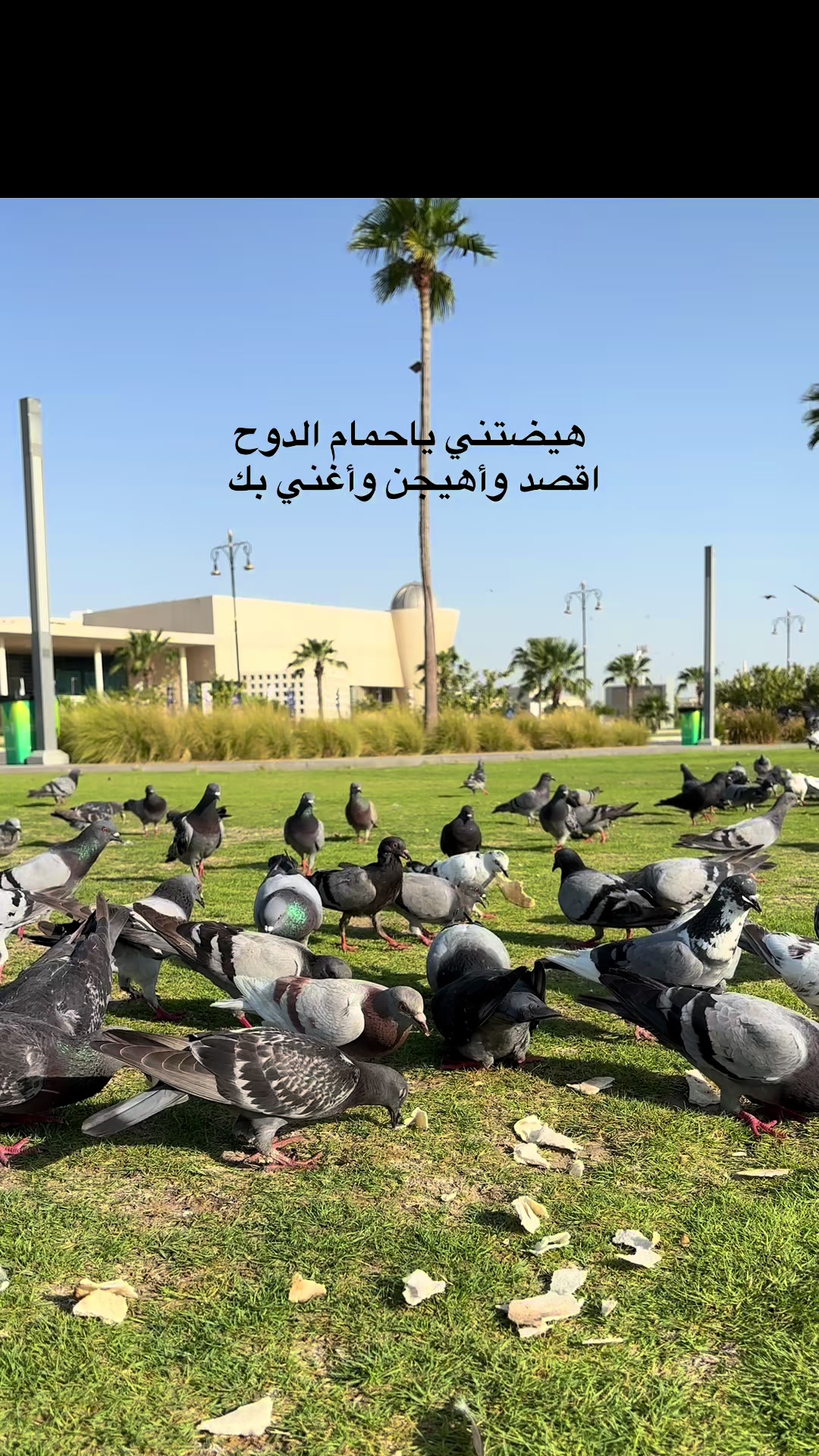 @﮼هديل﮼الخبر 🕊️📸