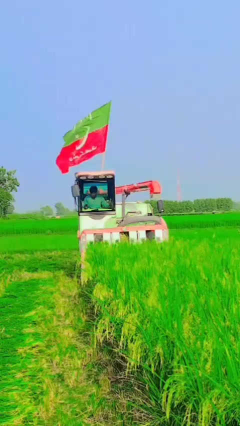 @ANEESMAYOSAB804