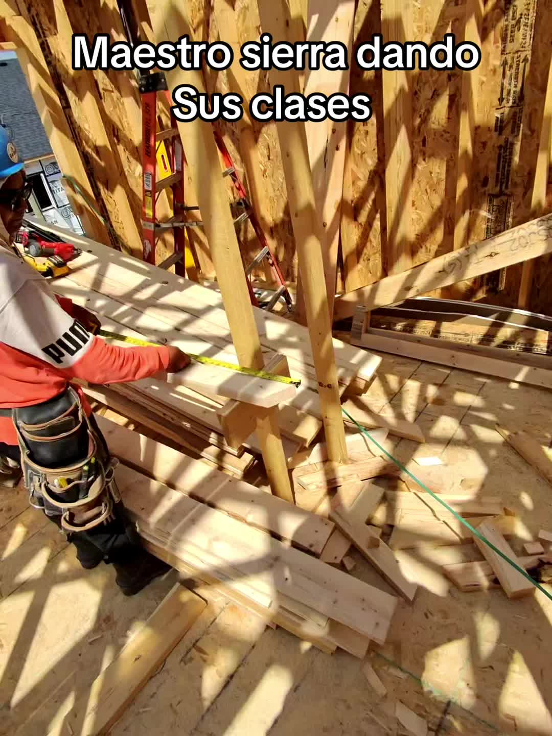 @Frammero🇲🇽en🇨🇦👷🏽♂️