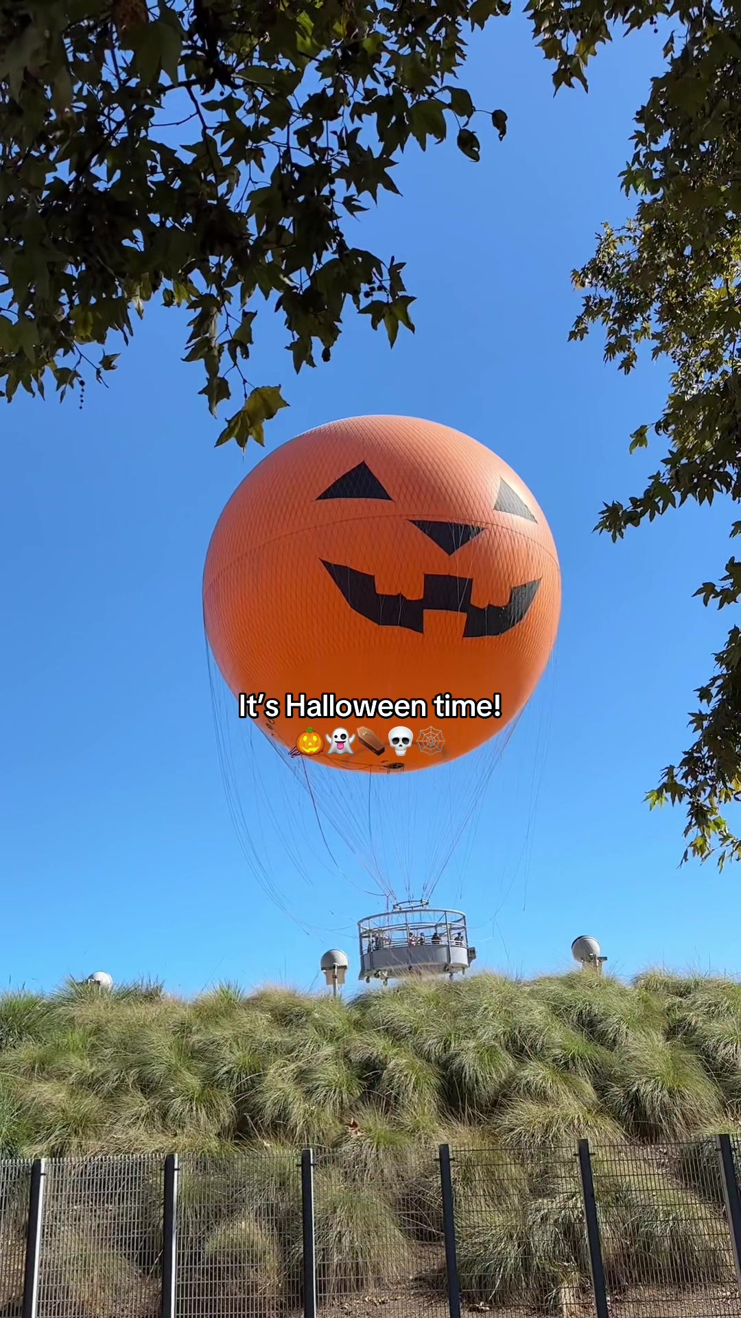 @Hauntina