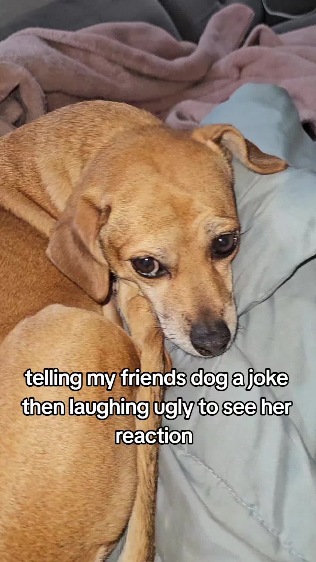 @cole