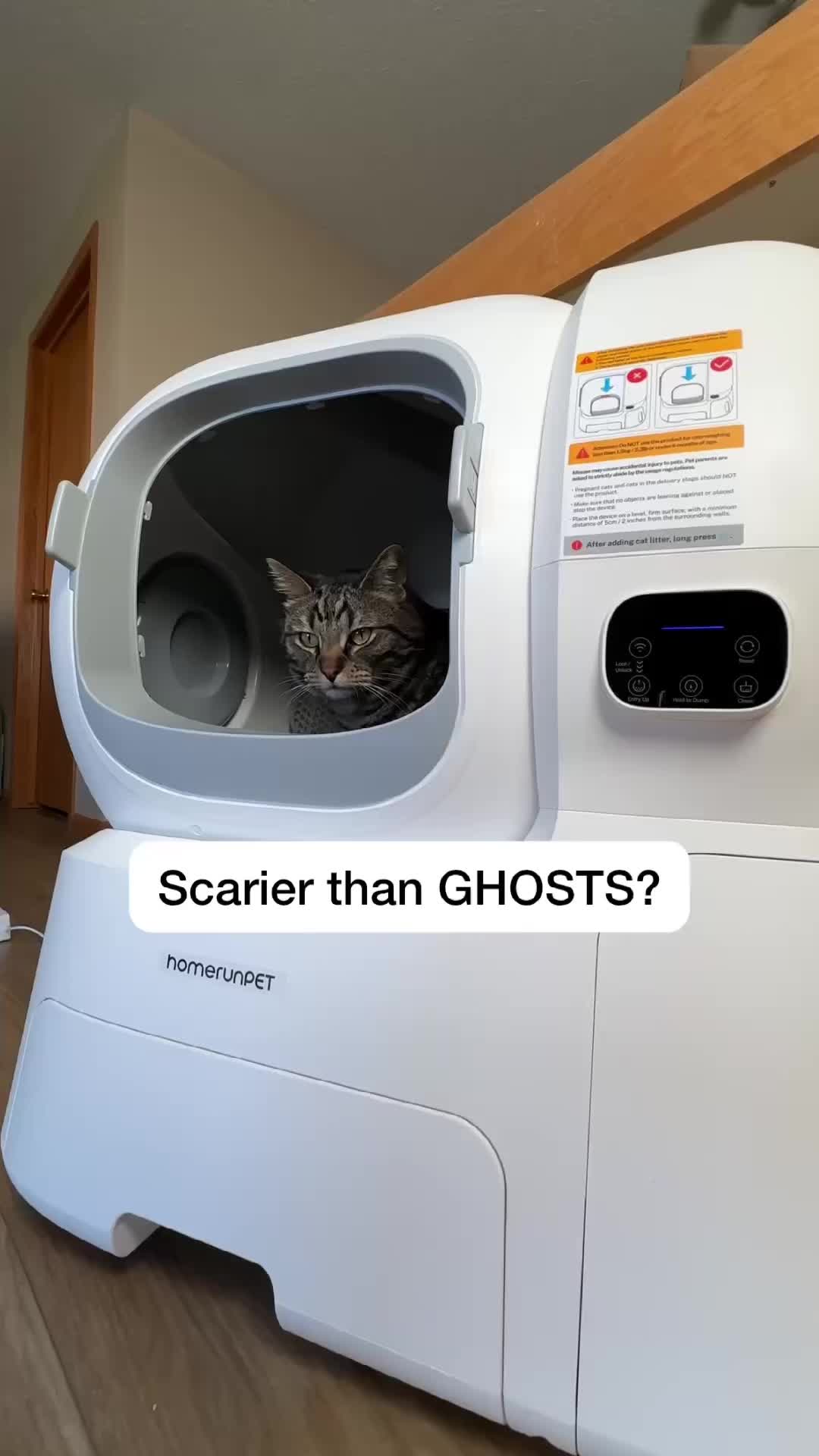 @Chip The Manx