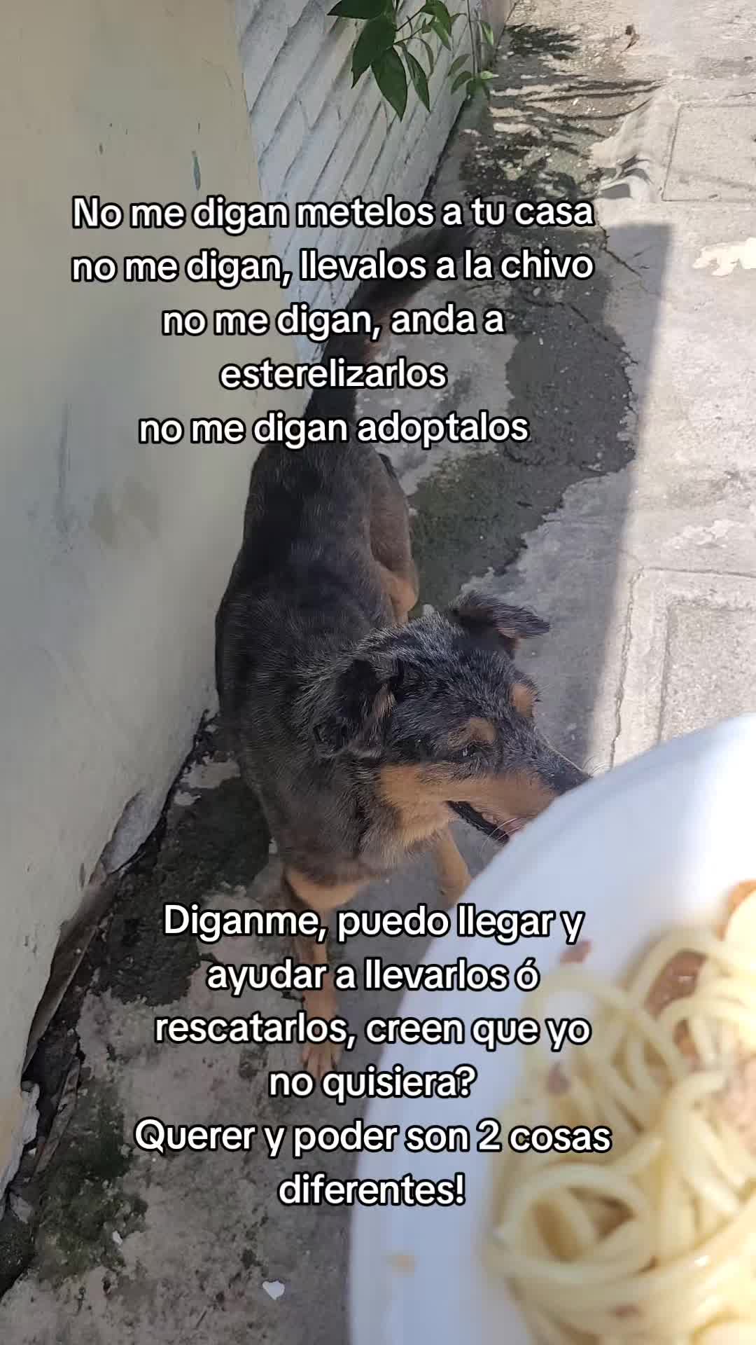 @𝕃𝕚𝕤𝕤 ℝ𝕖yes🇸🇻