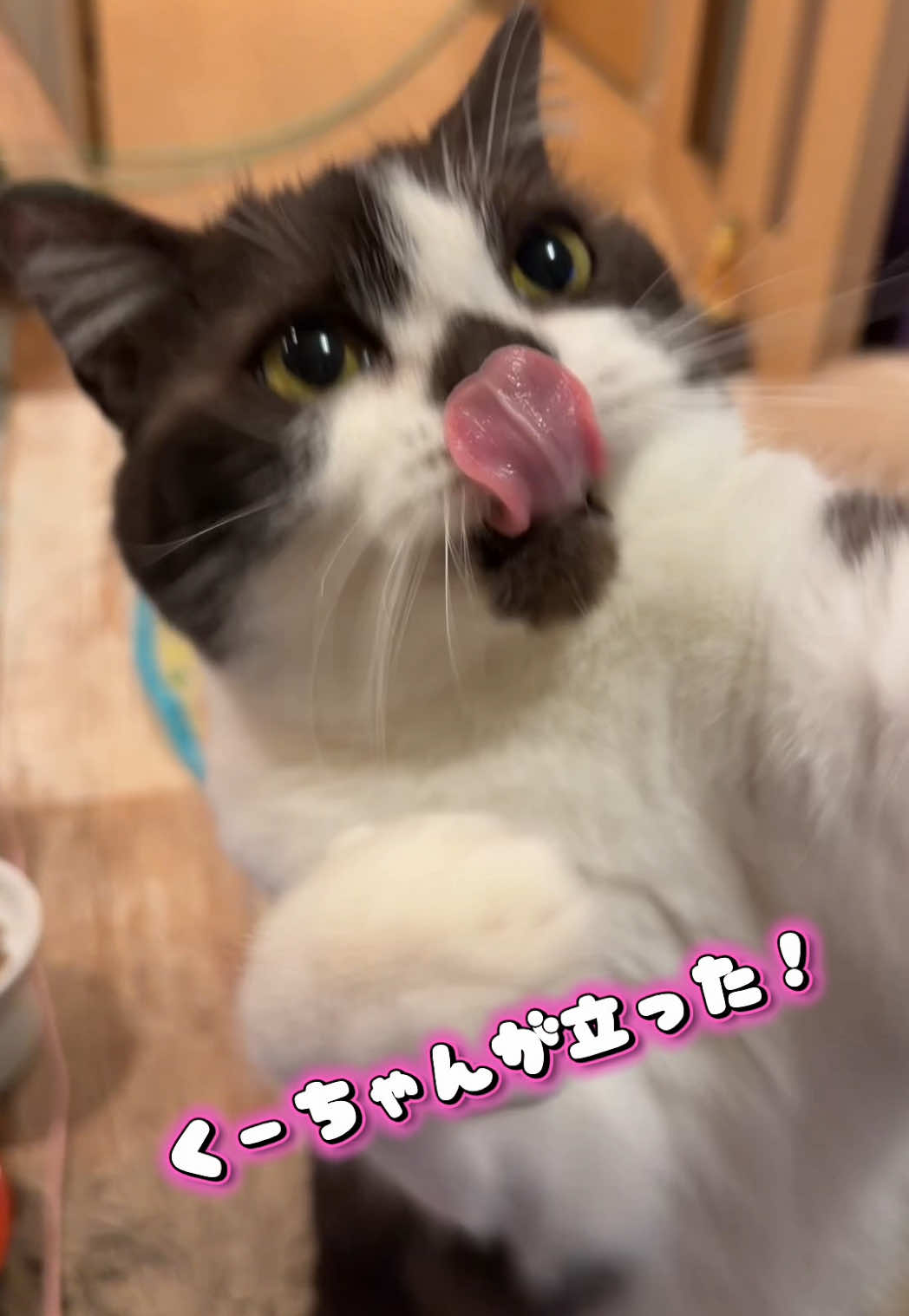 @くるラテ