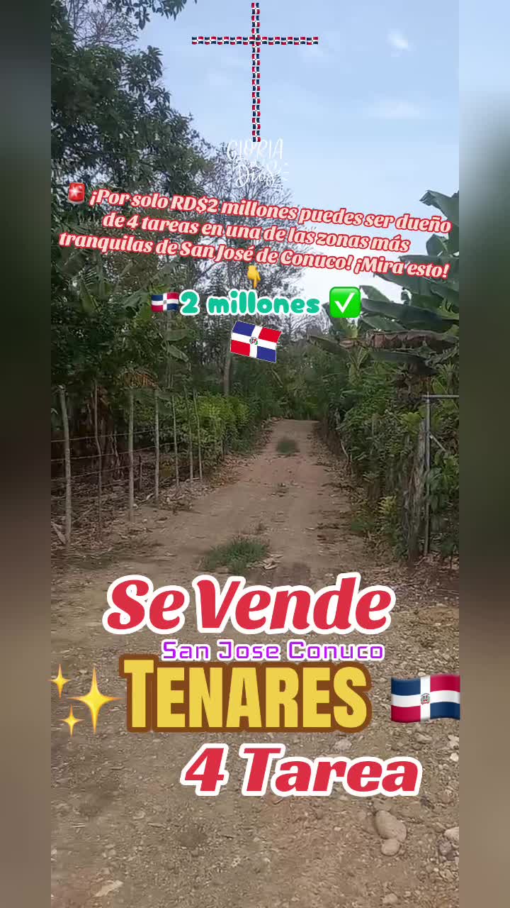 @mibendicionrd
