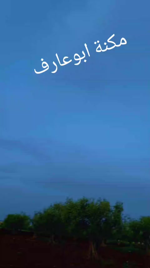 @🦁آلَآسۣۗـۙد🦁