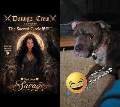 @DAWGZEMPIRE