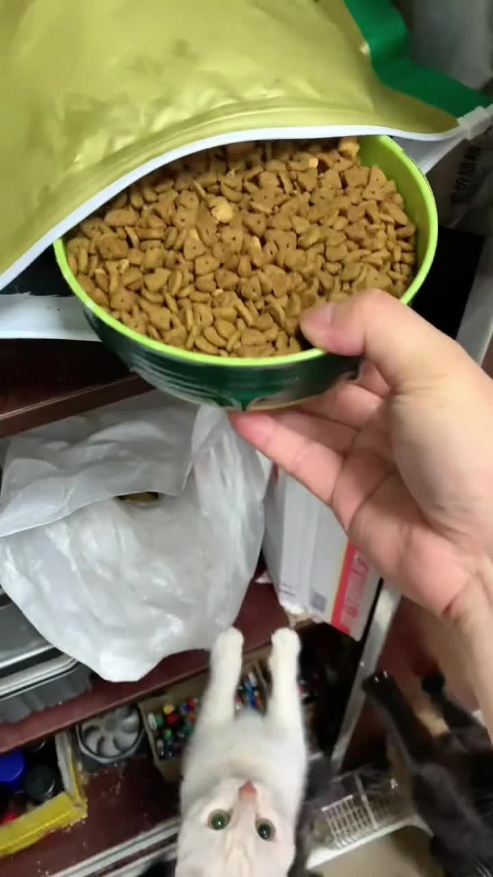 @ariatk