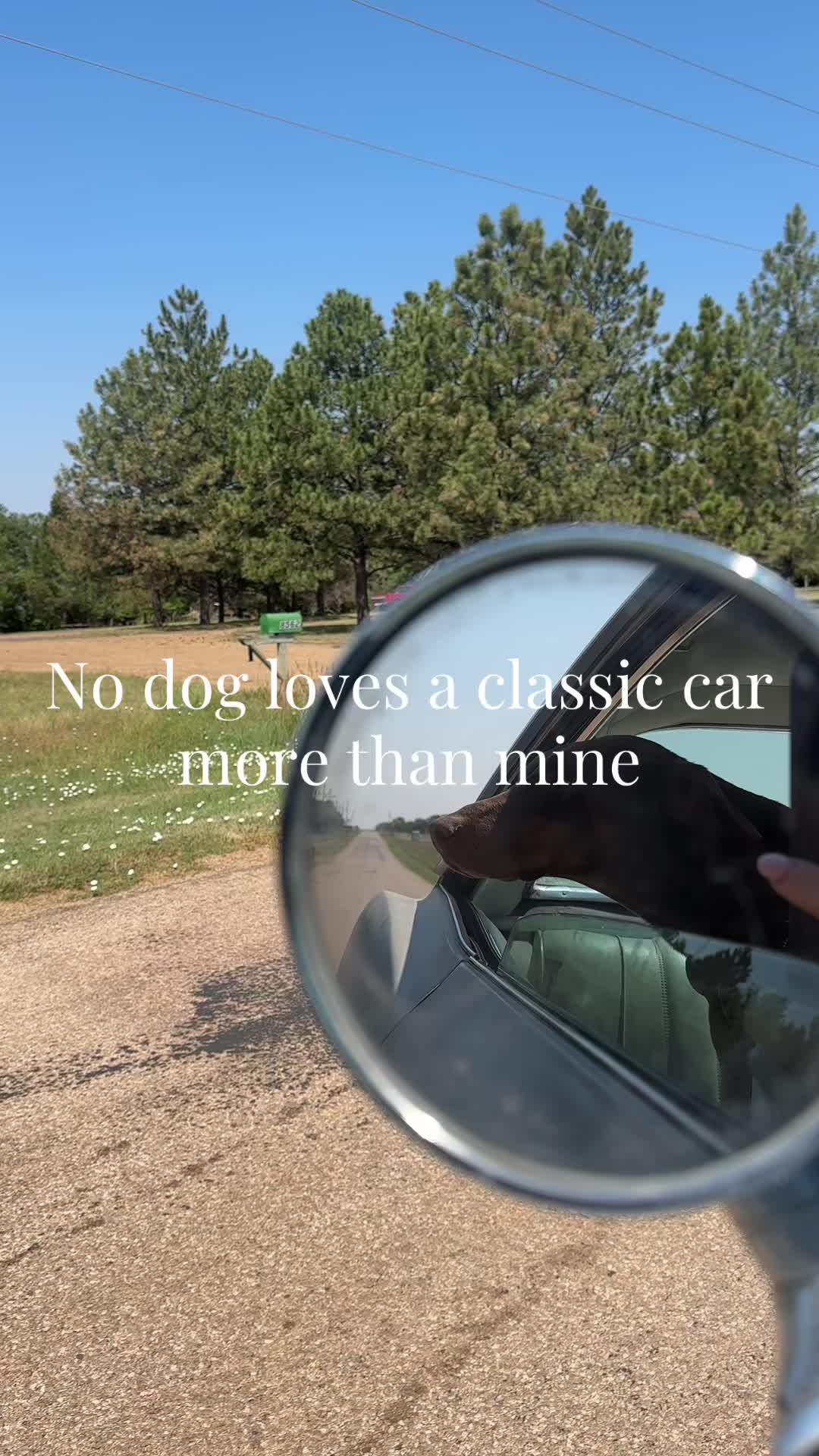 @CLASSIC CAR GIRLIE