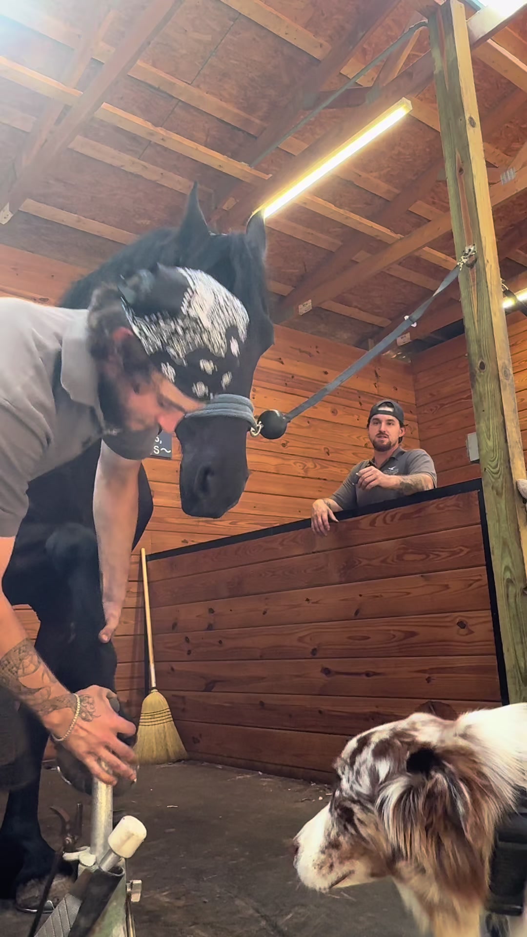 @jakethefarrier_