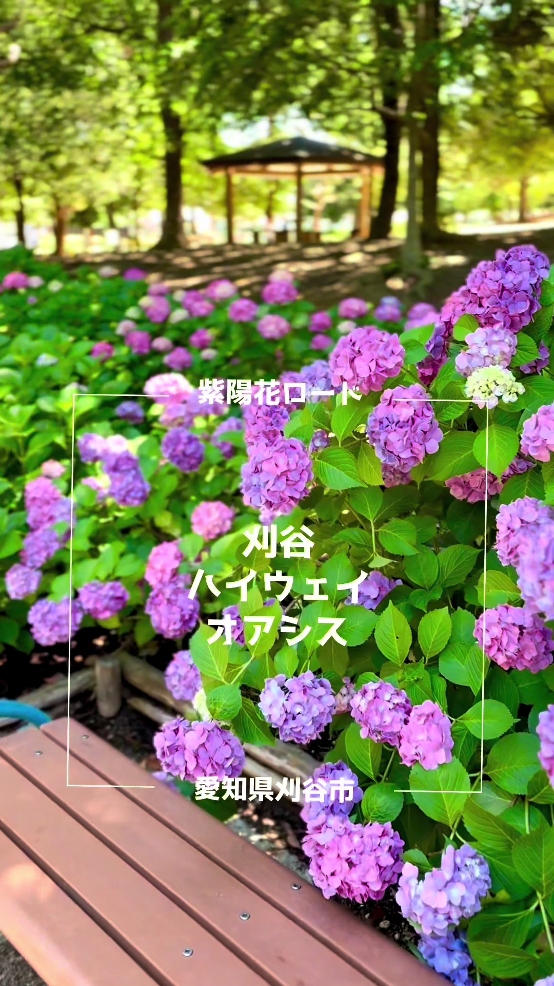 @ぱぴぷり