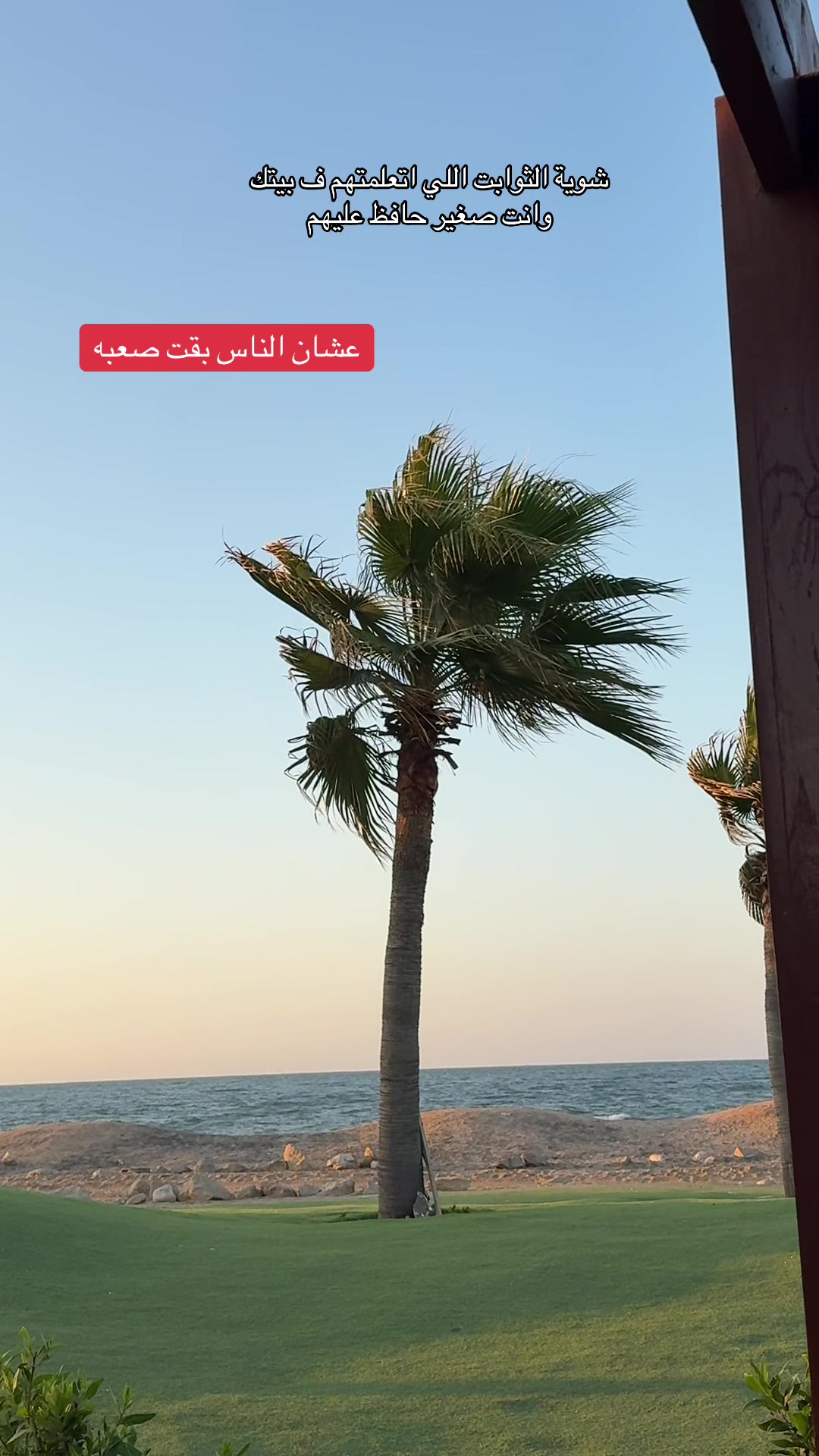 @Dr Mohamed Khattab