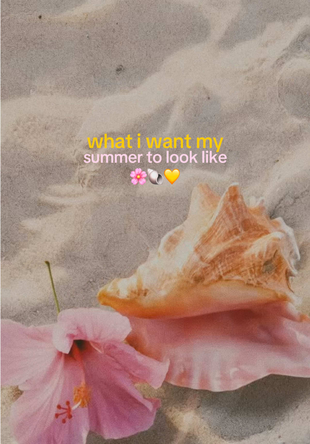 @𓇼 glenda | life by the sea 𓇼