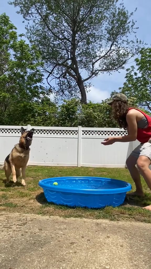 @OUTBOUNDDOGS