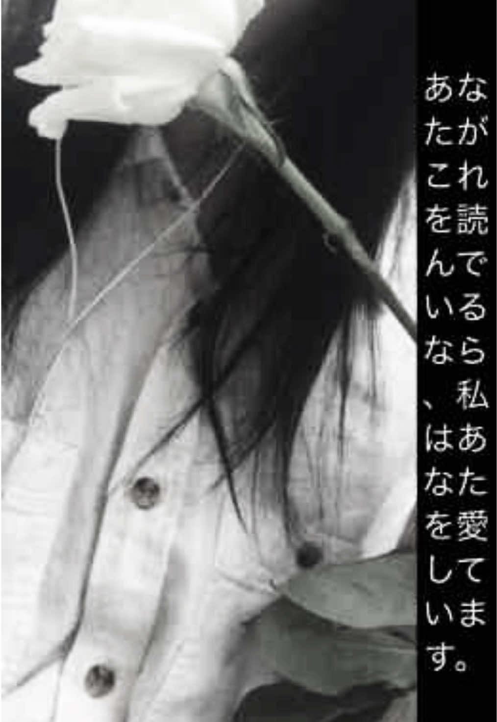 @тгк: u1hirasava
