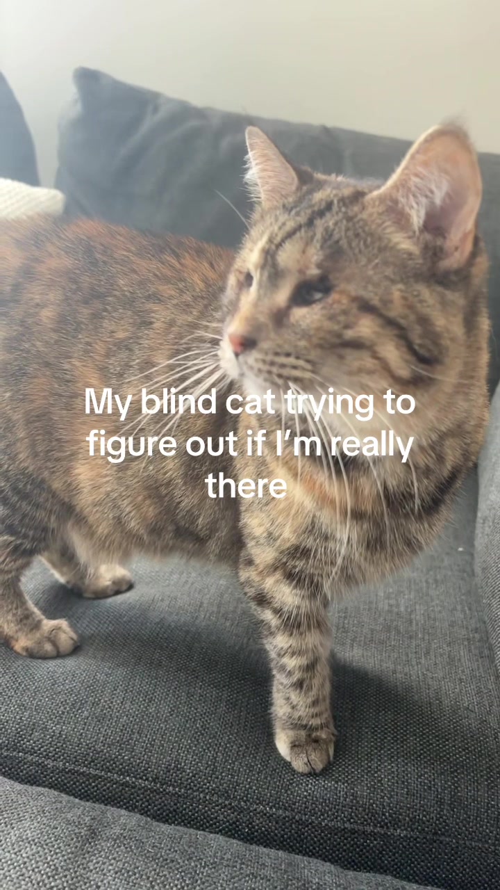 @Mouse