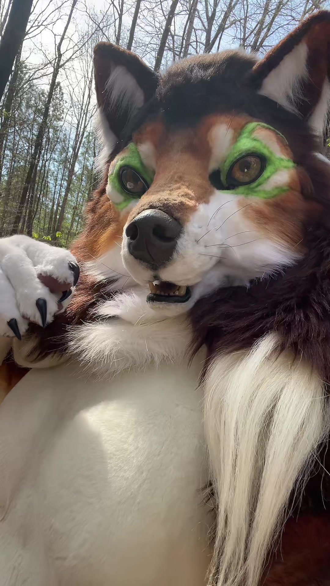 @Hazel Wolf