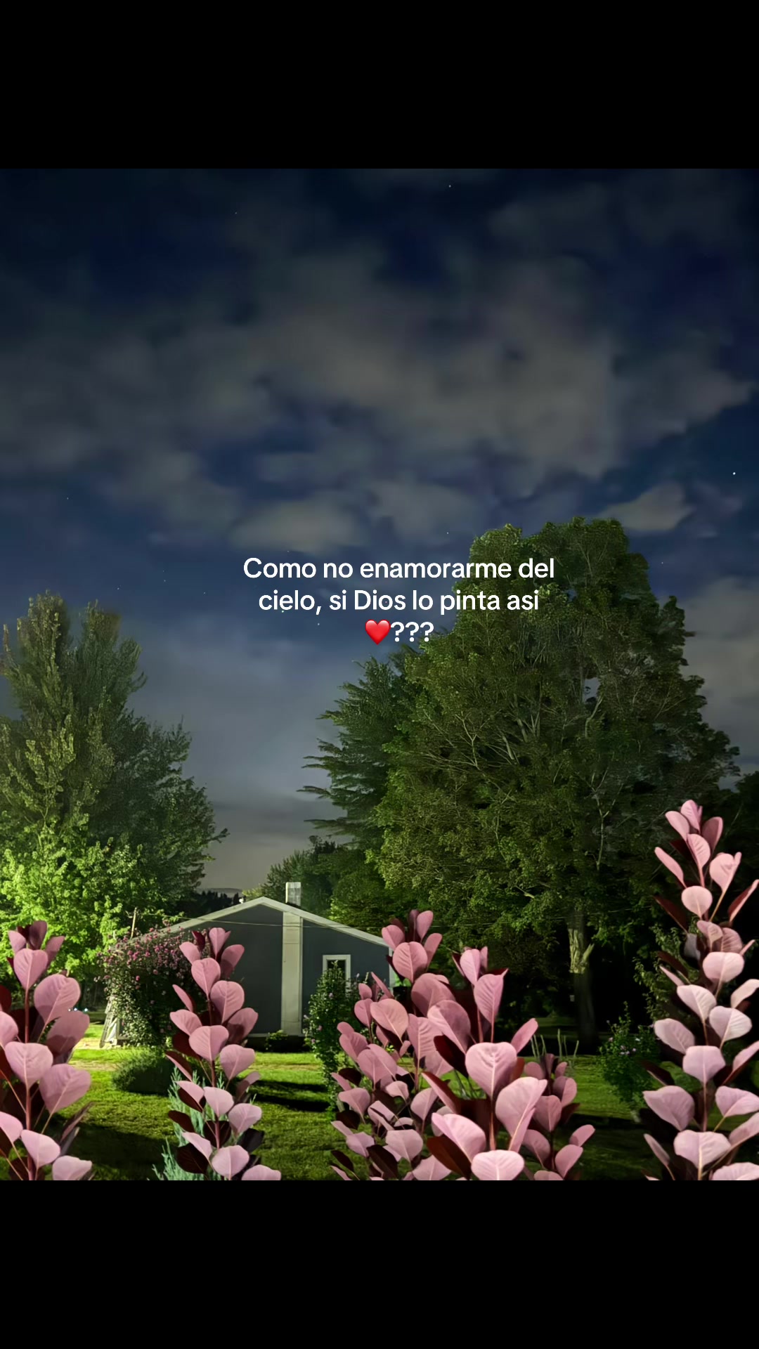 @anallely_moreno