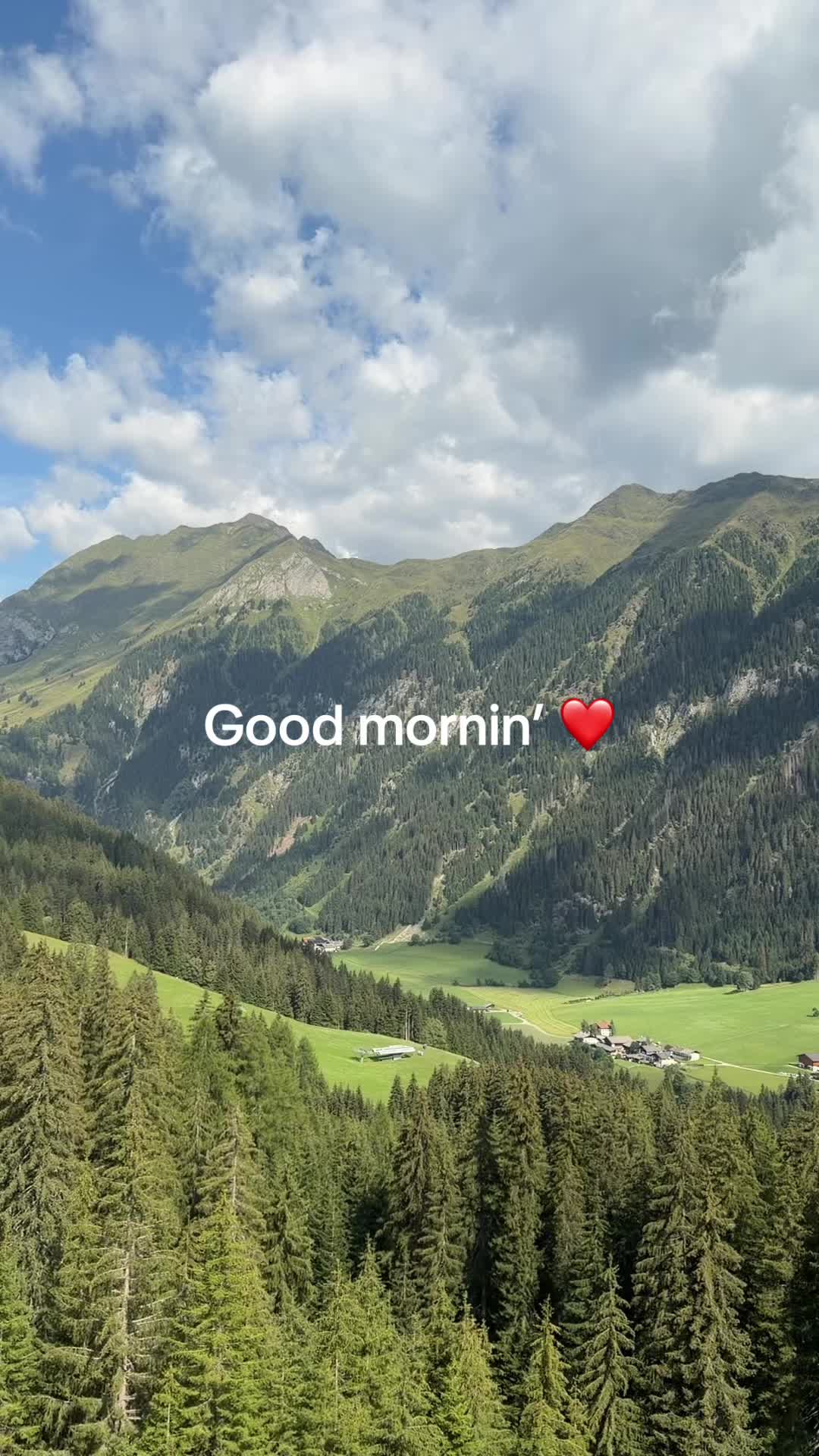 @Simona Borcea