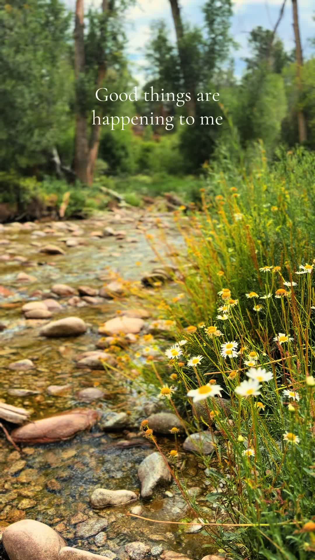 @TravelChaffeeCounty