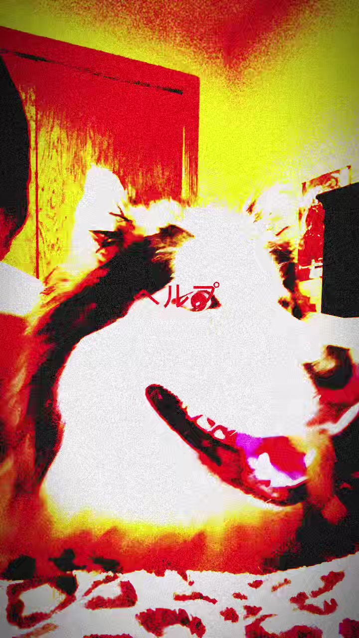 @MemesToGravity