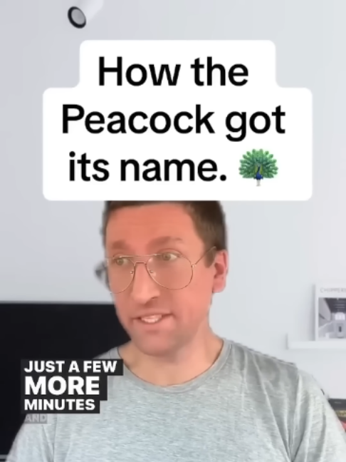 @mrzanderblue