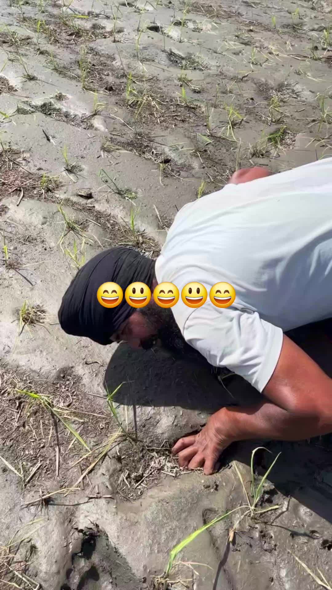 @sahib bal