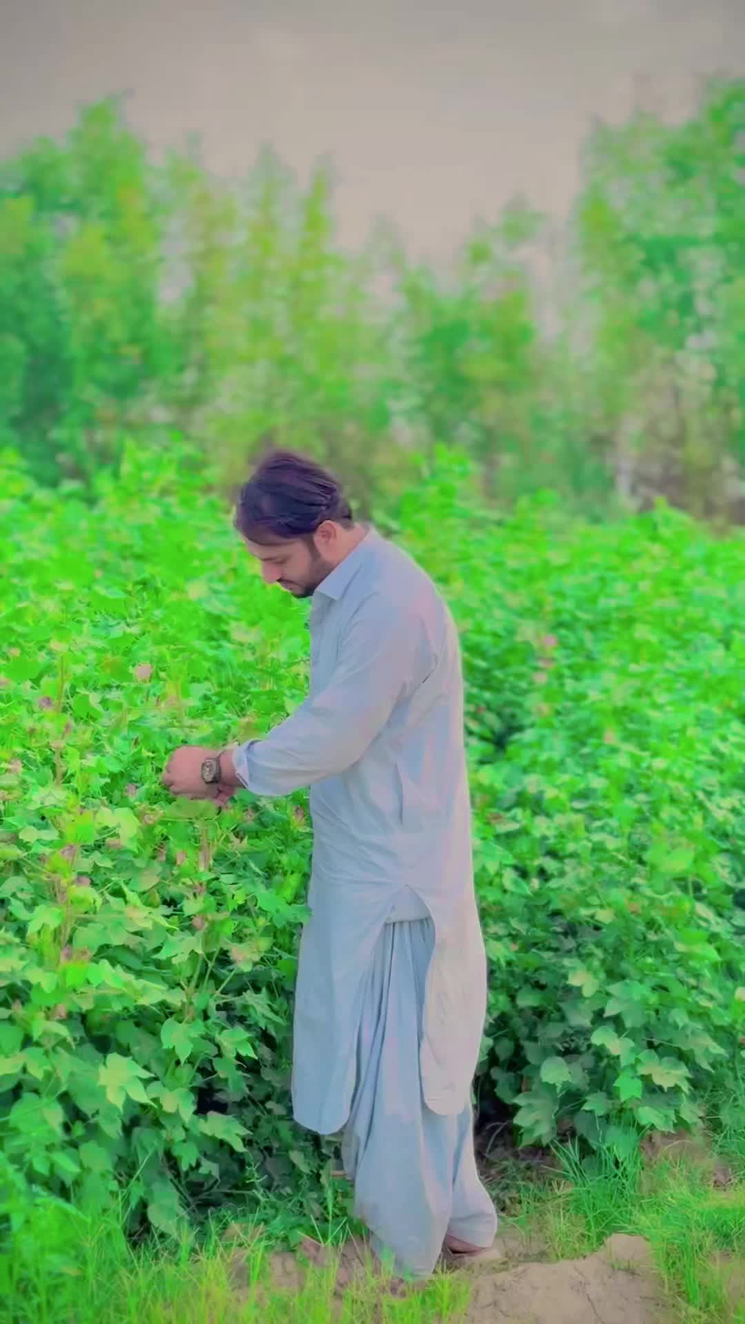 @Haji_Ayoub449