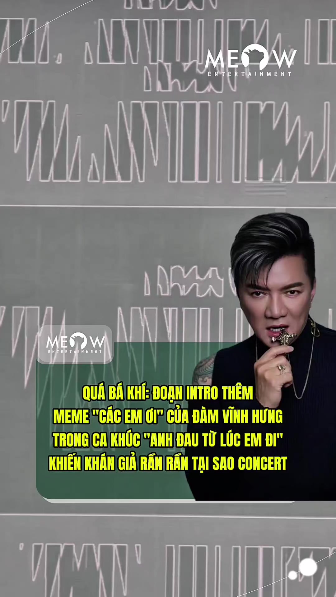 @MEOW ENTERTAINMENT