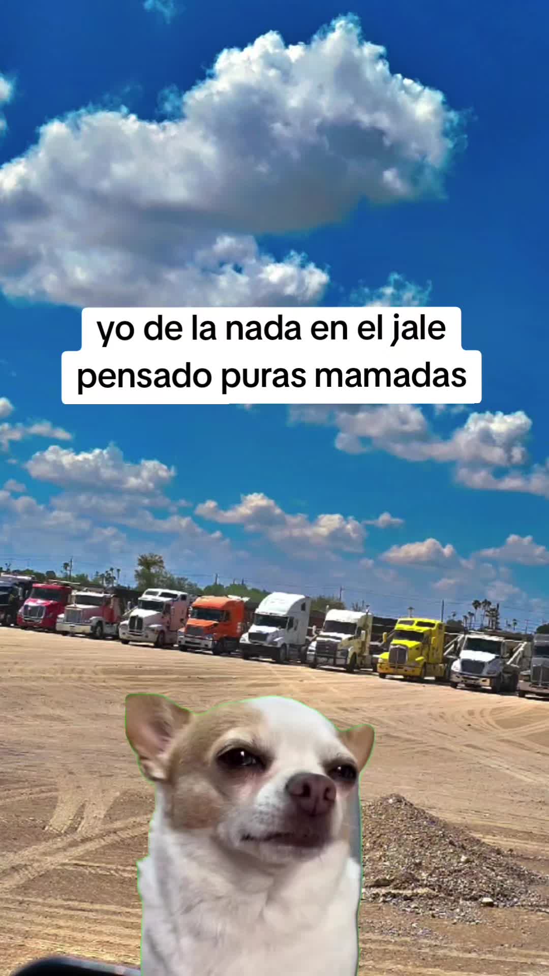 @Jaime Alaberg