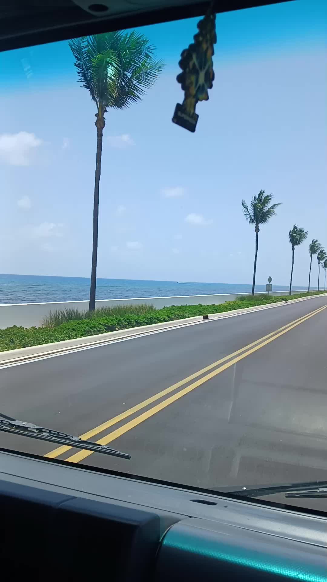 @Chapina🇬🇹.