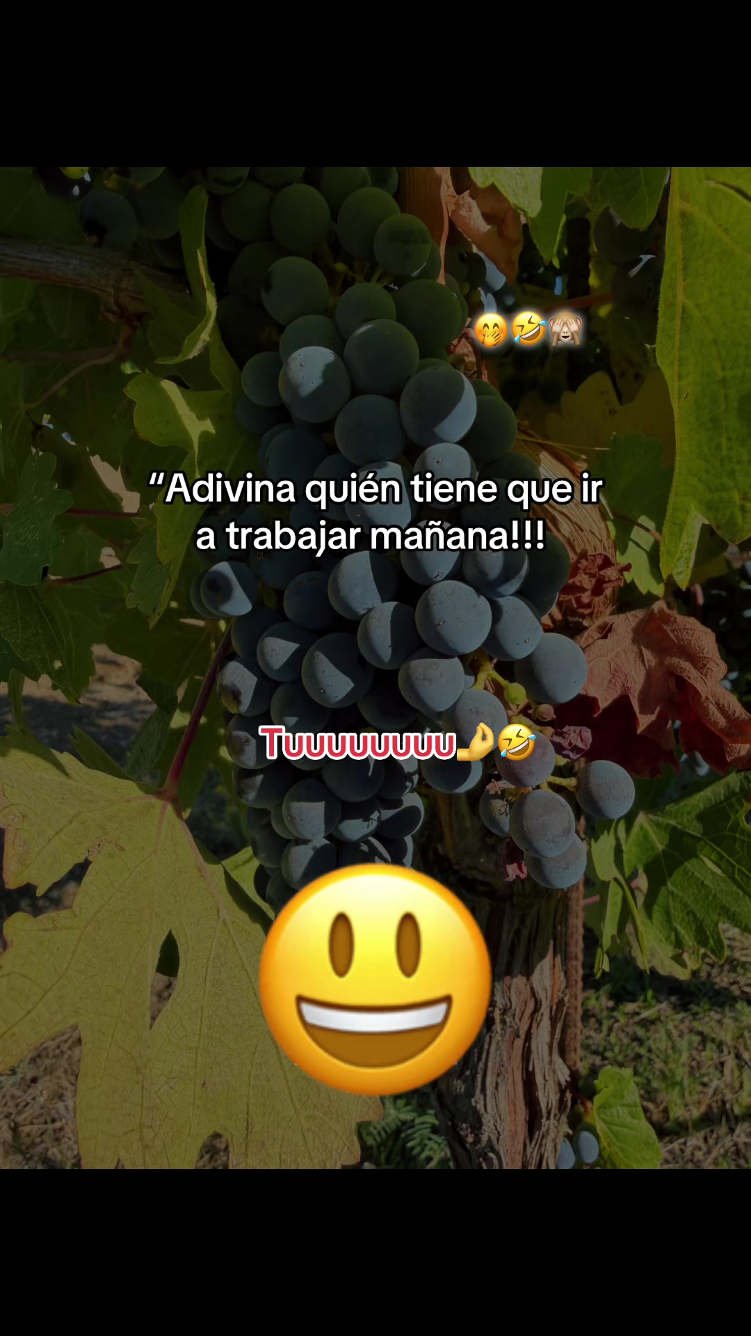 @Sandra Santiago