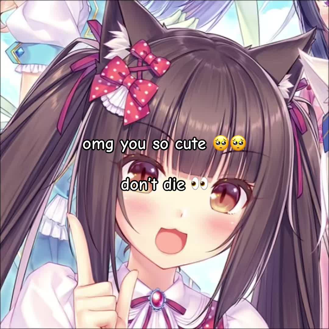 @𑣲𝓓.