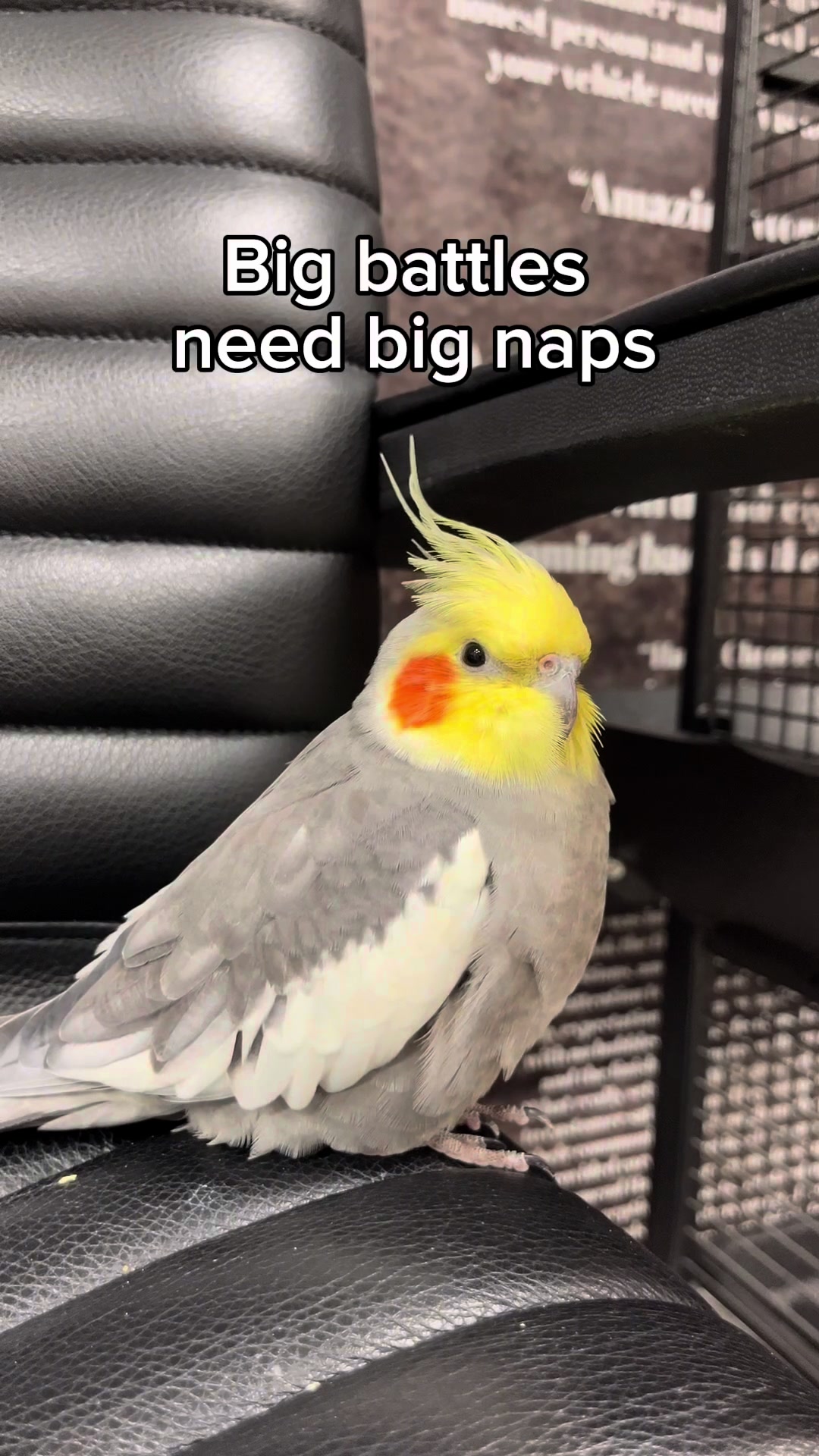@Emery The Branch Manager