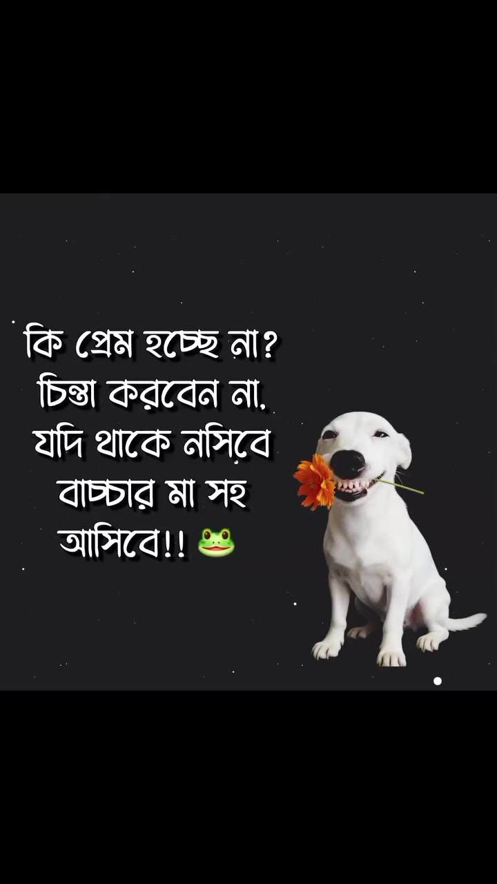 @ZAHIDUL HASAN🇧🇩🇸🇦🇦🇷