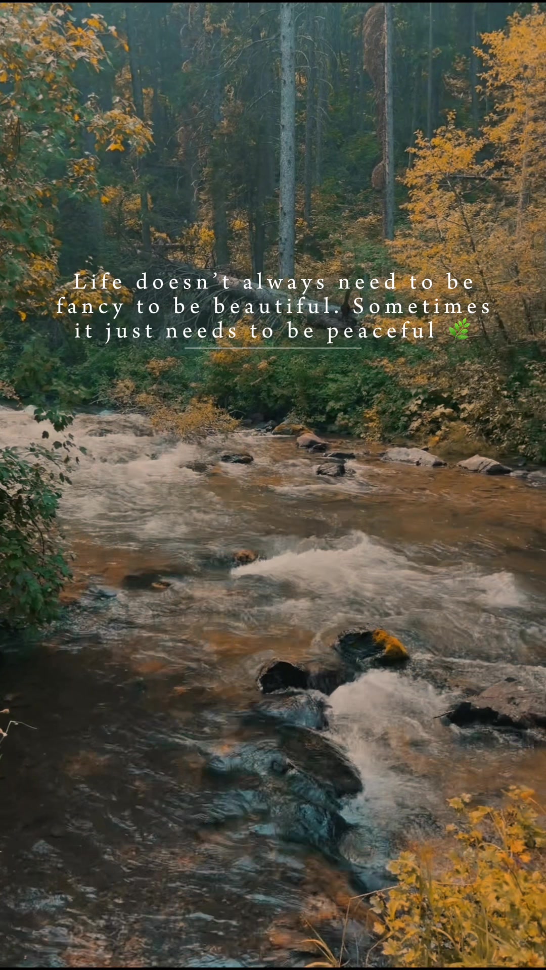 @𝒞𝑒𝑒 ♡