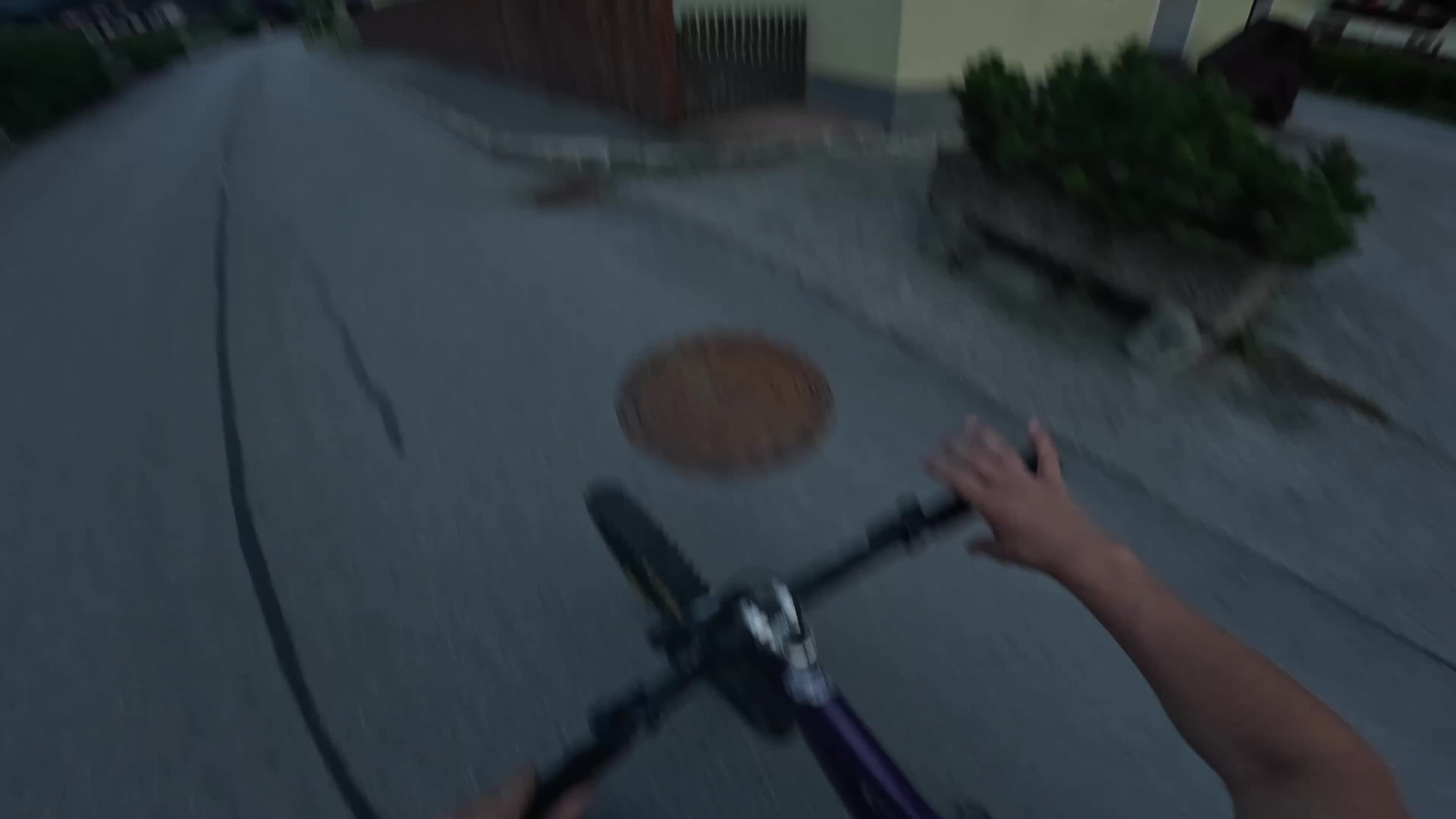 @Leo†