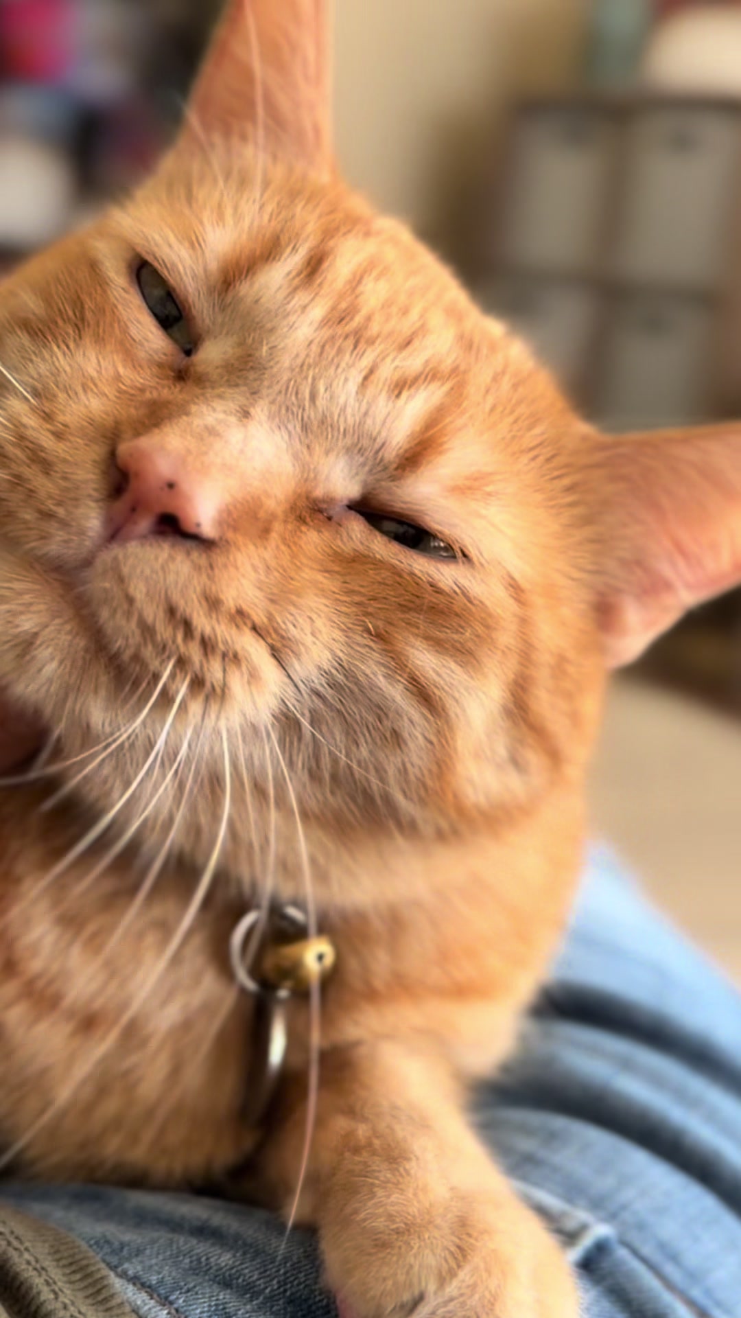@Chellstation
