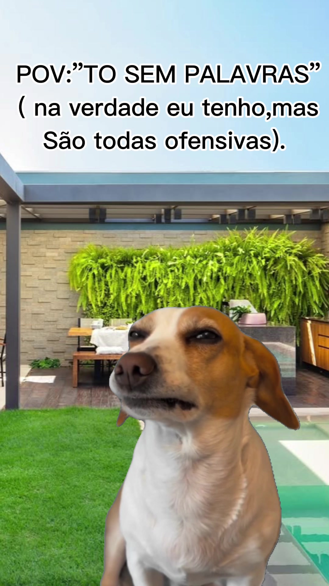 @Garimpei pra você