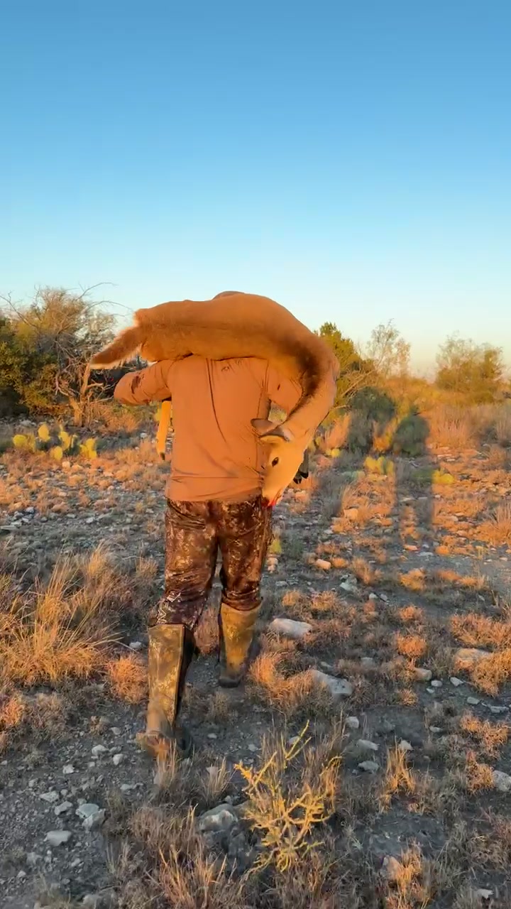 @Firetxman