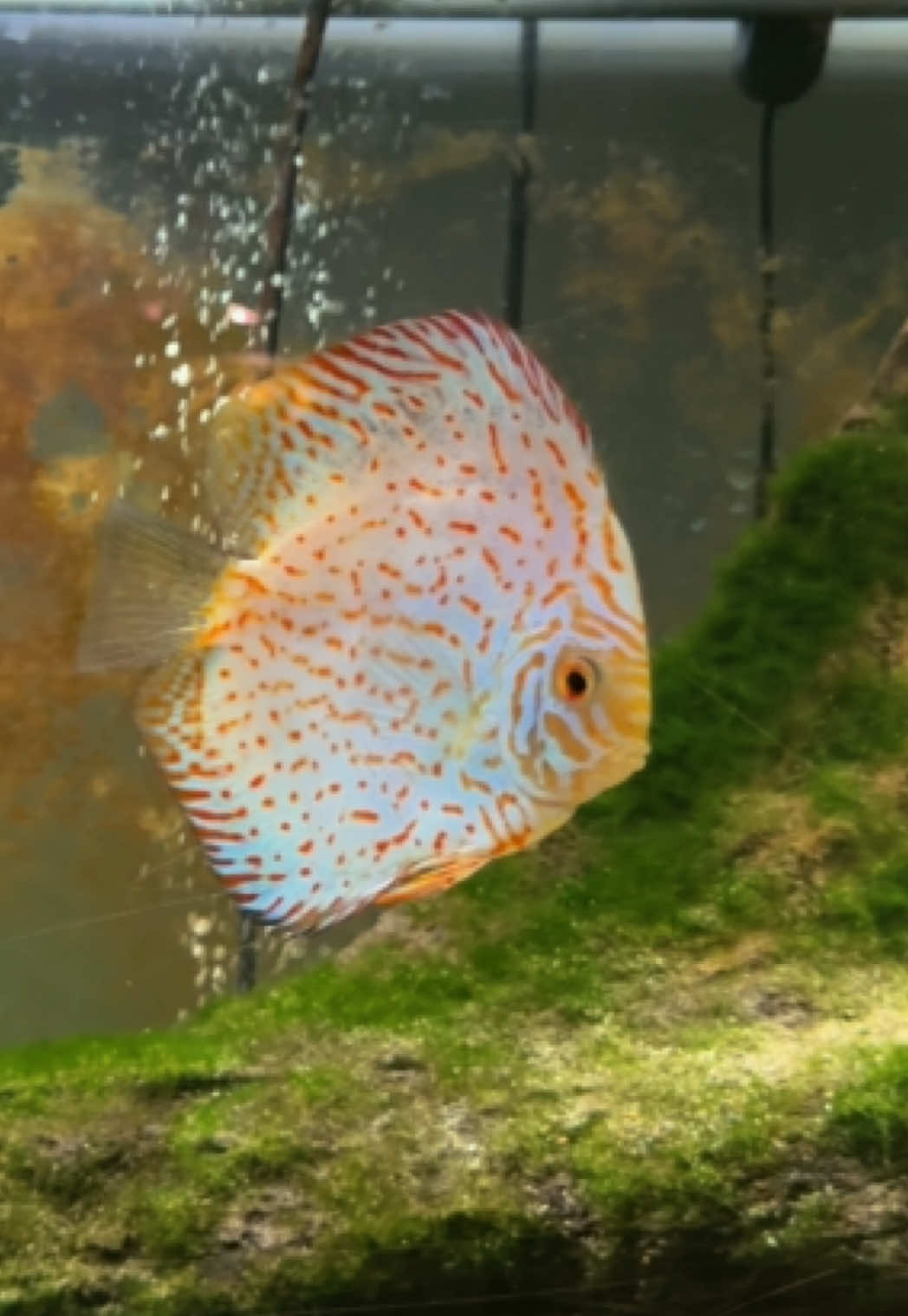 @Fishmon john