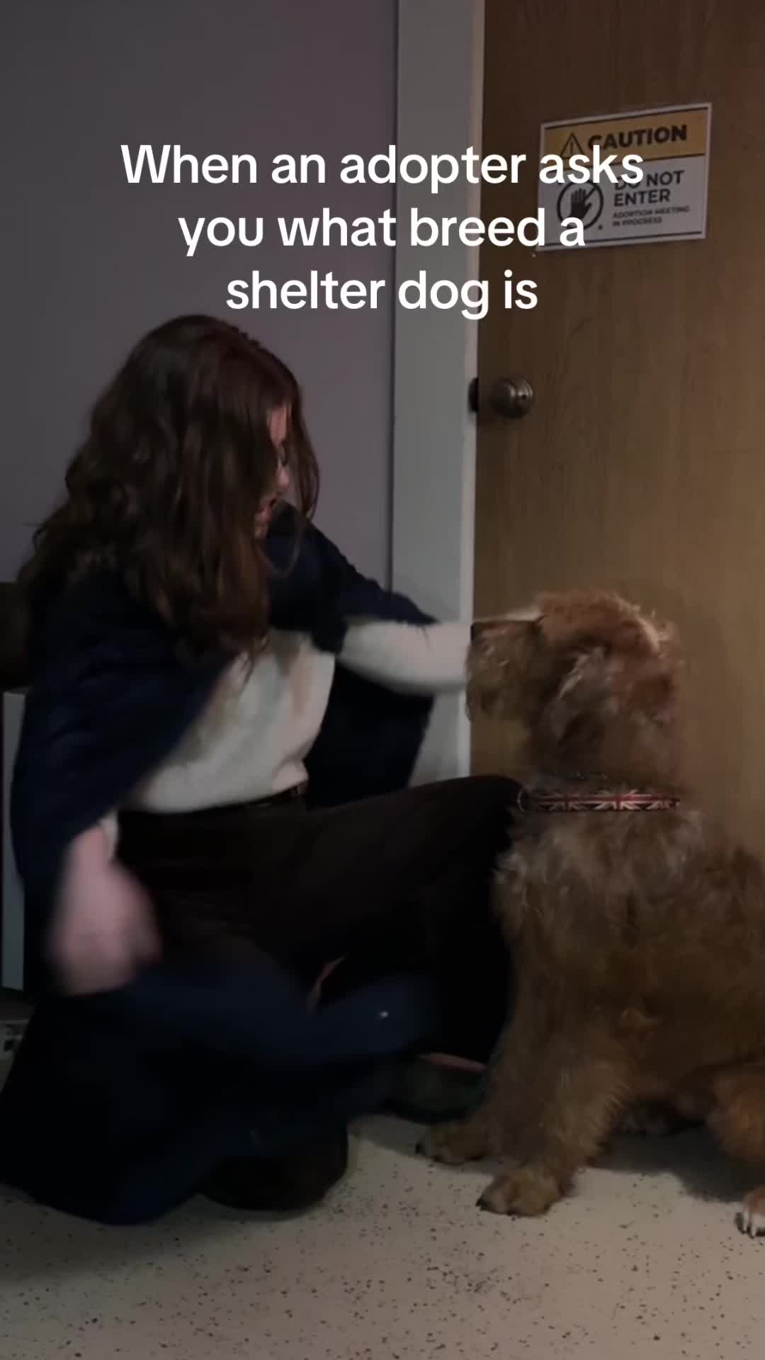 @sftsanimalrescue