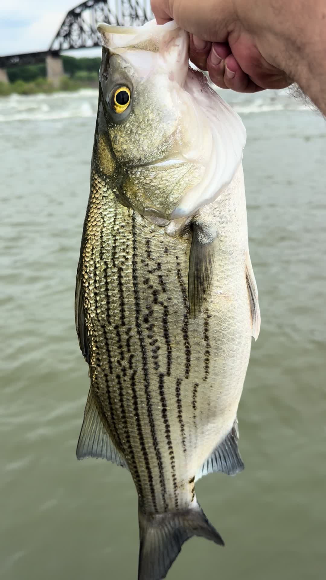 @Kentucky Fishing