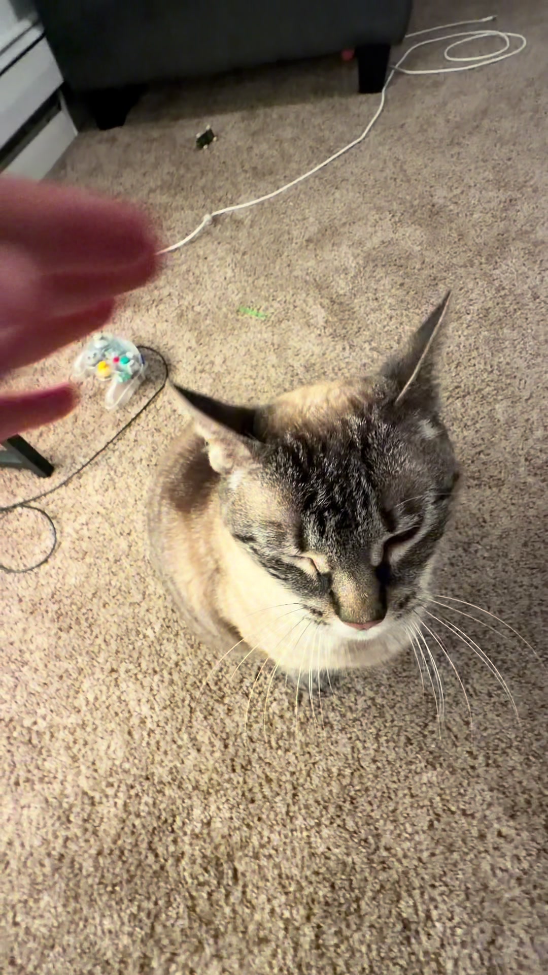 @PepperTheCat