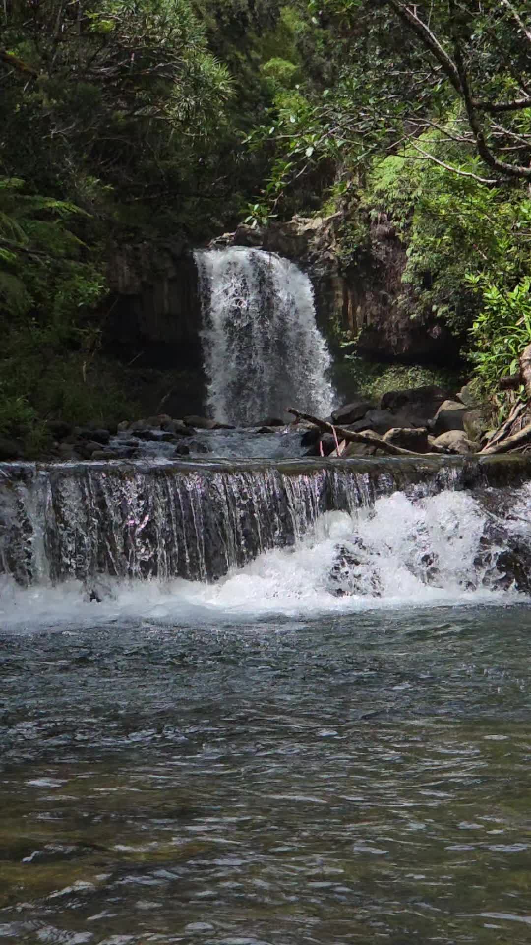 @Hike Maui
