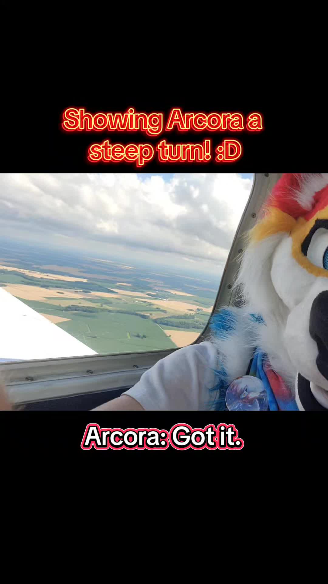 @Luco Foxxo